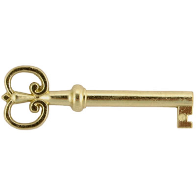Fancy Skeleton Key