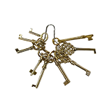 Solid Brass Skeleton Key Set